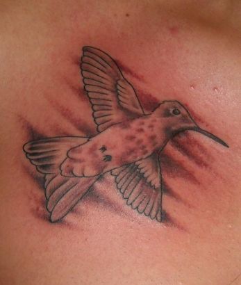 Hummingbird Tats Image